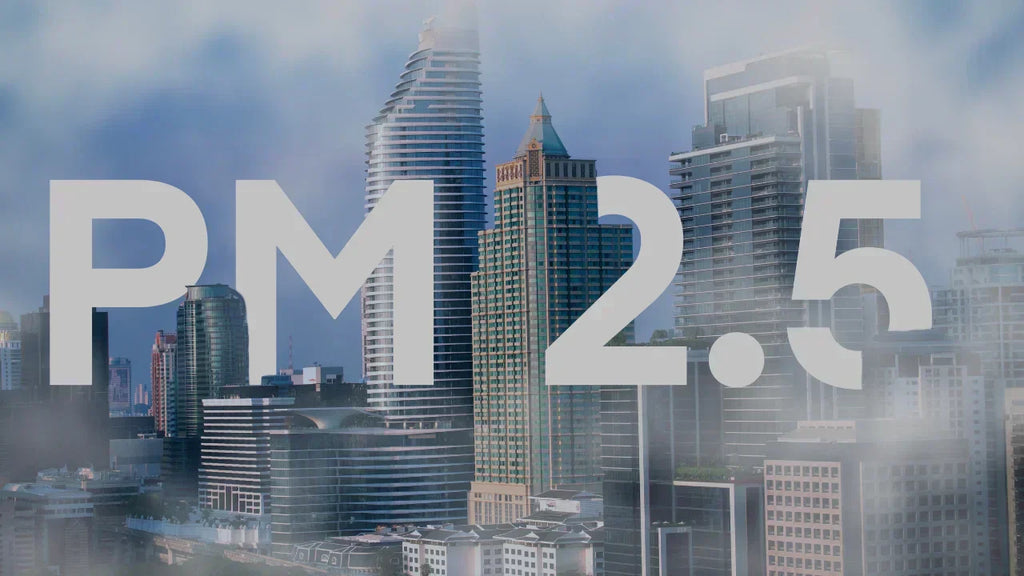 PM2.5 สูงมาก ใช้หน้ากาก N95 แบบไหนถึงกันได้จริง