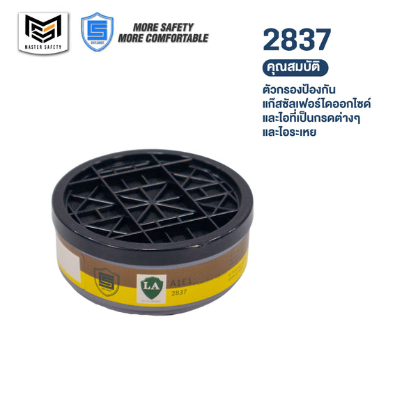CS-RC2837-น้ำตาล/เหลือง